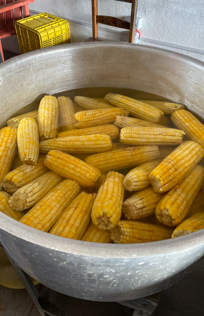 milho cozidos_